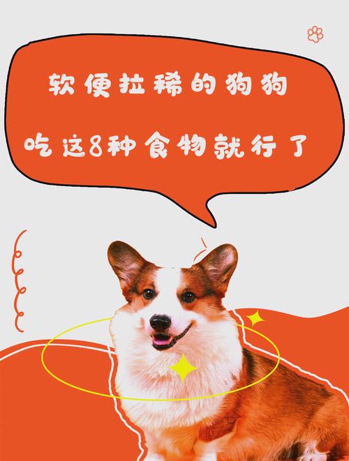狗狗拉稀吃什么食物