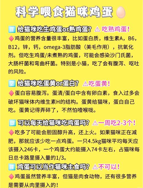 鸡蛋,猫咪能不能吃?