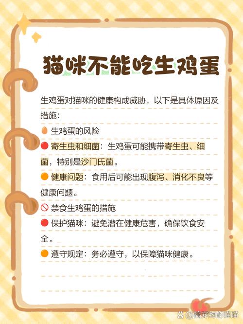 猫以吃鸡蛋吗?