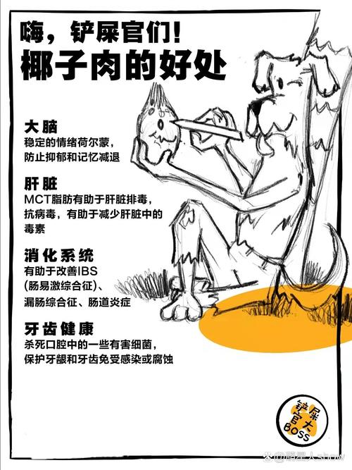 狗狗能吃椰子肉吗