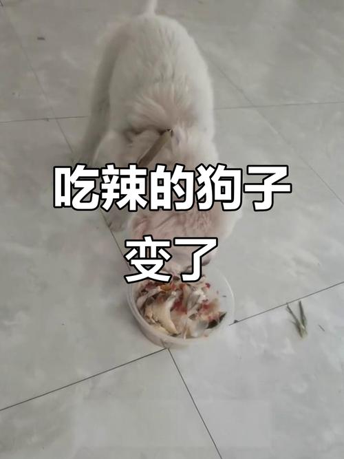 幼犬不小心吃了辣椒后会怎么样