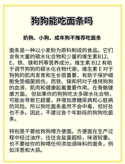 三个月的泰迪狗狗能不能吃米饭或面条!