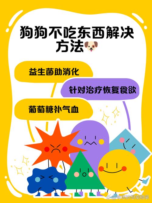 小狗好几天不吃饭,也不大便,天天睡觉没精神,只喝水,怎么办?可以有4,5...