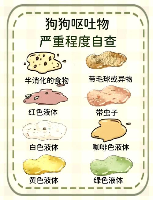 狗狗打完疫苗呕吐