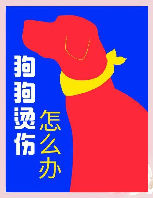狗狗不小心被开水烫了怎么办