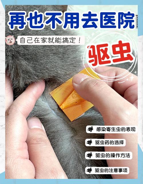 猫驱绦虫的吡喹酮用量是多少?