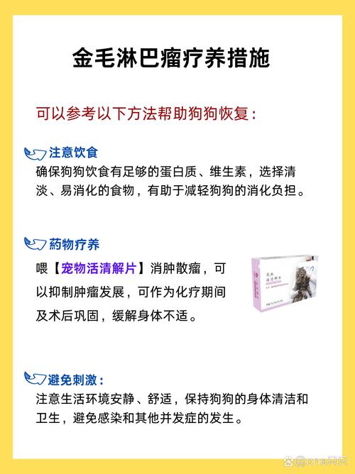 为什么狗狗总是反复发烧
