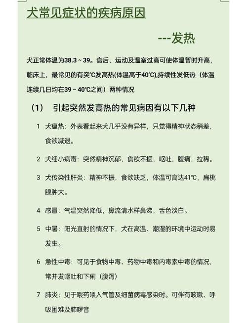 狗狗反复发烧是怎么回事?