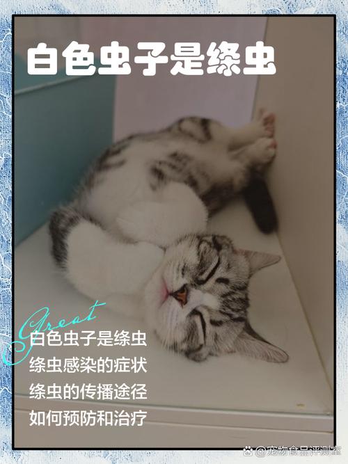 猫咪拉出白色蠕动小虫子