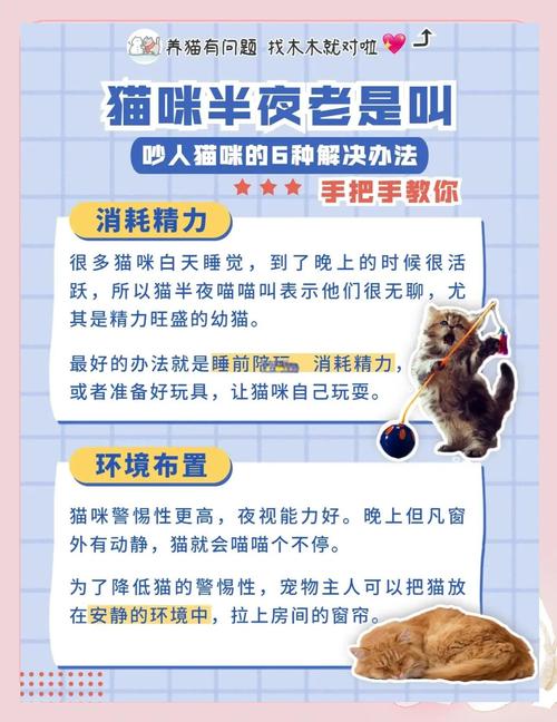 猫咪一直叫不停到处乱走是怎么回事