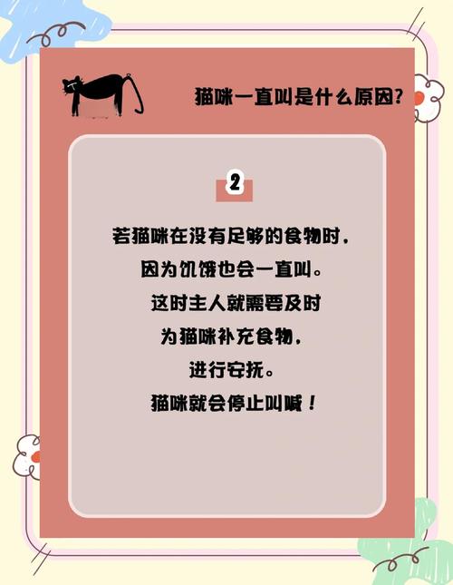 新买的猫咪一直叫是什么原因呢?