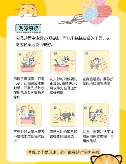培养猫咪从小开始乖乖洗澡的方法