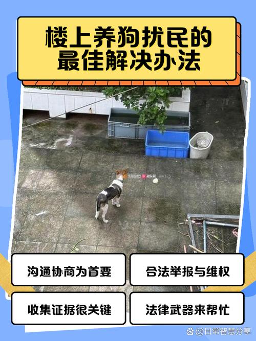 小区狗叫扰民怎么办