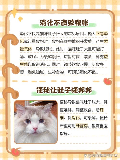 猫咪突然拉肚子是怎么回事?