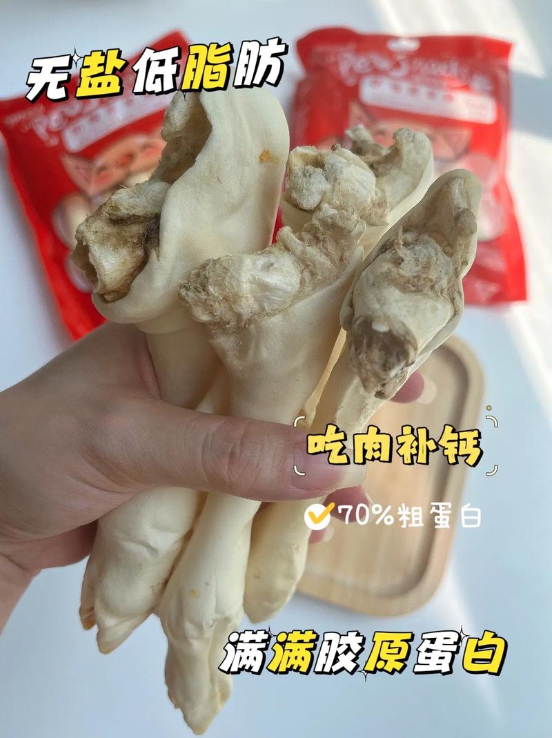 狗可以吃羊蹄吗