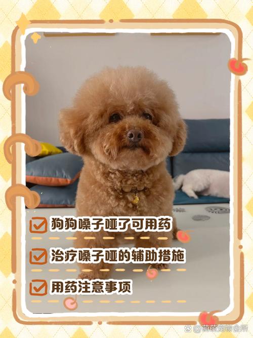 狗的嗓子哑了喂什么药