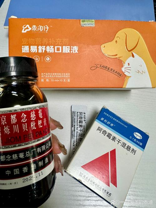狗狗嗓子哑了吃什么药