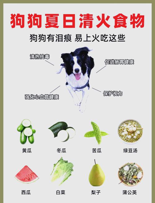 狗狗吃什么去火效果比较好