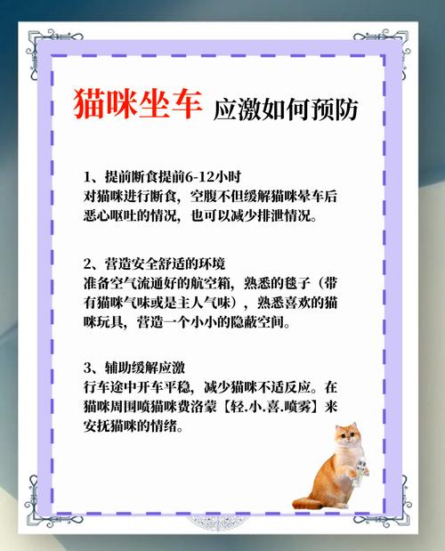 猫咪坐车晕车应激反应怎么办