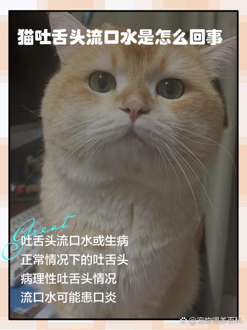 猫咪睡觉为什么会咬着舌头