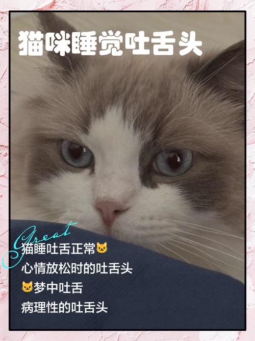 猫咬舌头什么意思