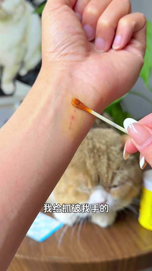 猫咬了蝙蝠会得病吗