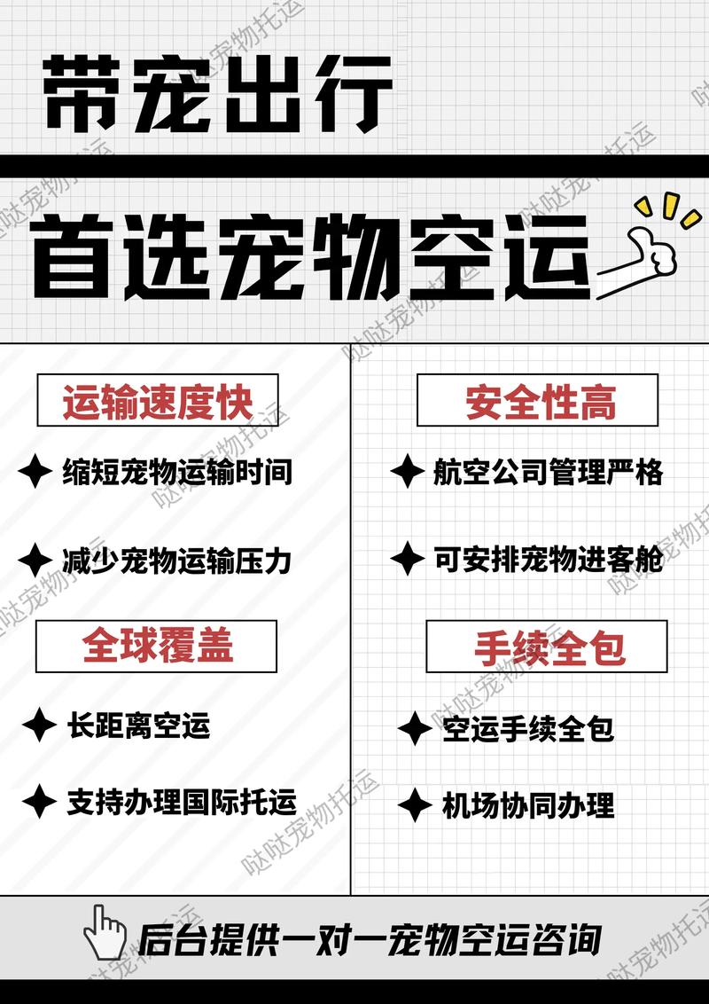托运三天狗狗会不会死狗狗托运会不会有危险