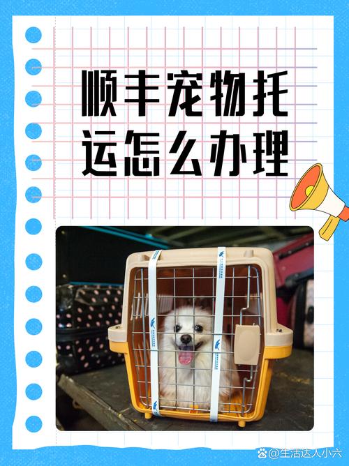 狗狗空运后会得什么病