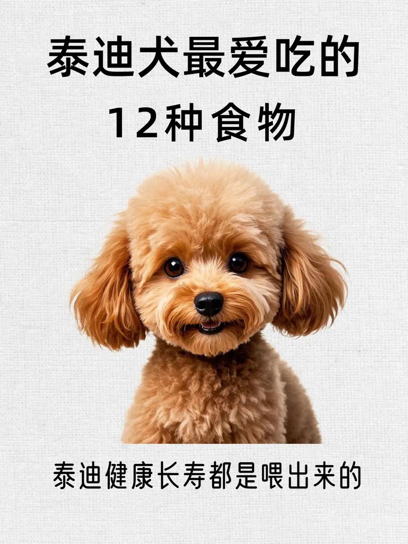 为什么泰迪犬喜欢吃鱼腥草?