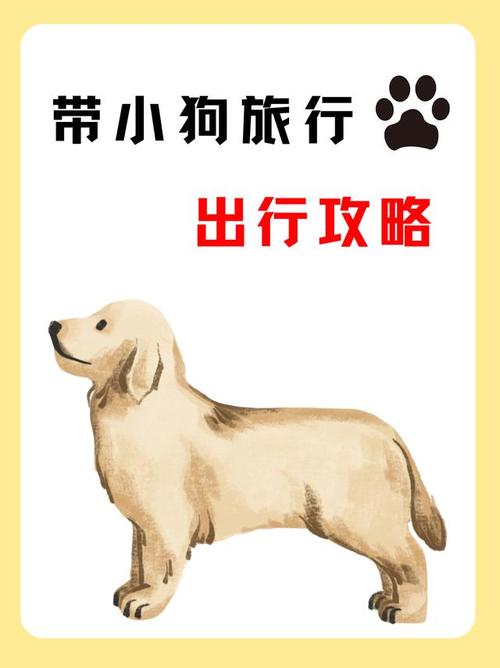 出远门带狗有什么好办法?