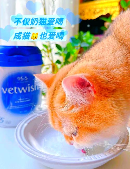 猫咪羊奶粉怎么冲