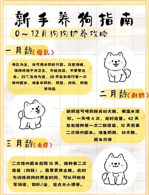 小狗多少天断奶