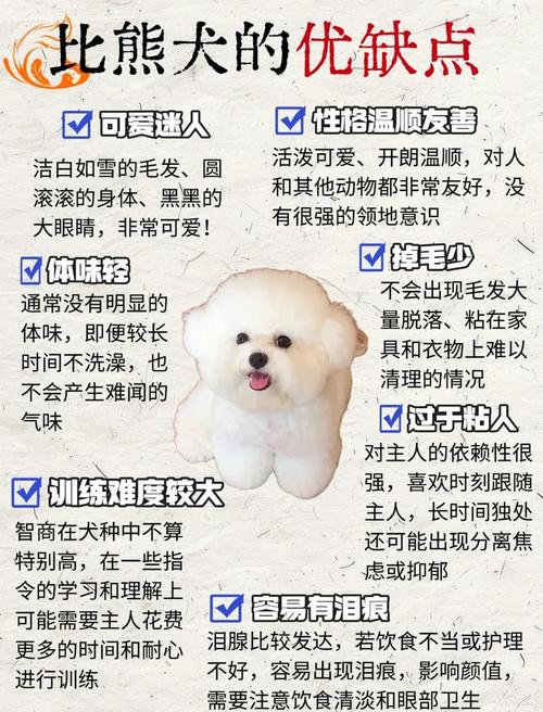 最粘人的狗狗排名榜(狗狗粘人程度排名)