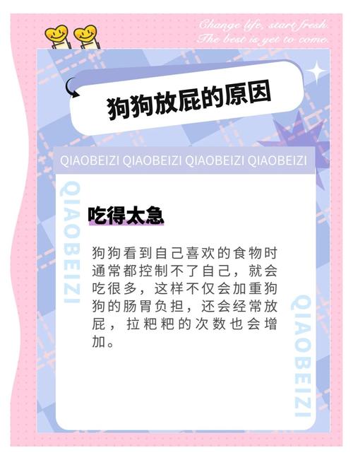 狗狗总放屁是什么原因?