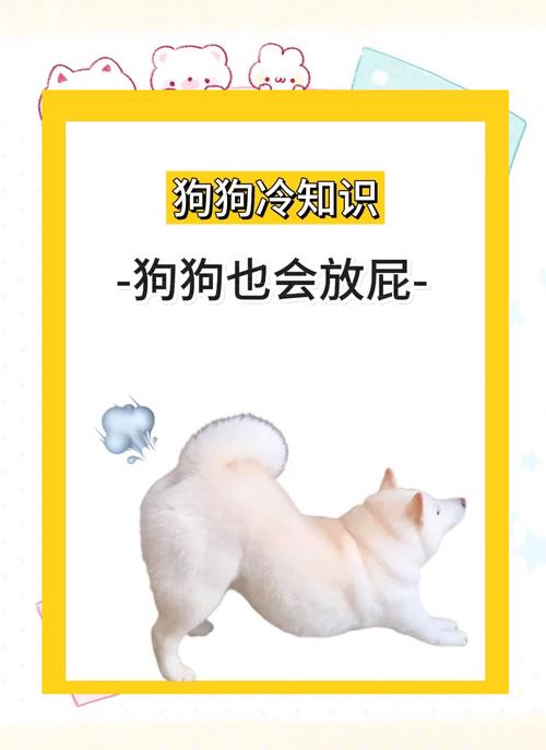 狗狗放屁正常吗?