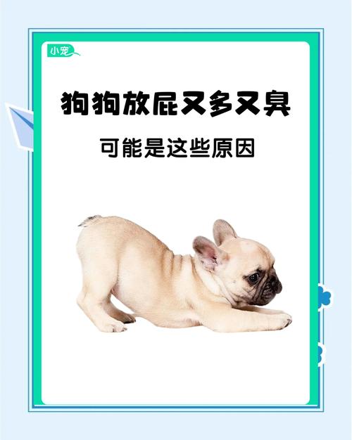 狗狗爱放屁,是病还是病?