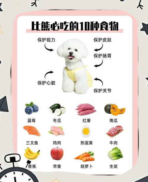 三个月大的狗狗吃什么好?