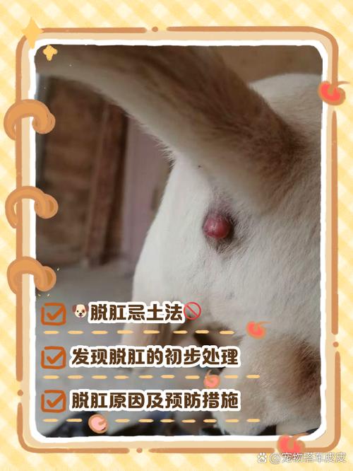 小狗20天怎么还不睁眼