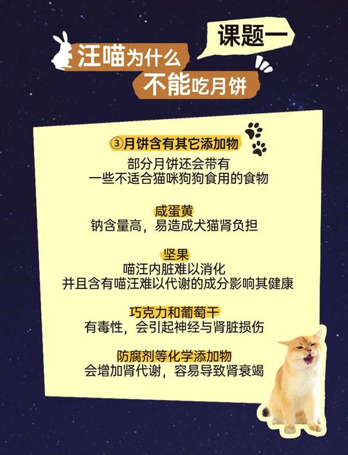 猫可以吃月饼吗甜的