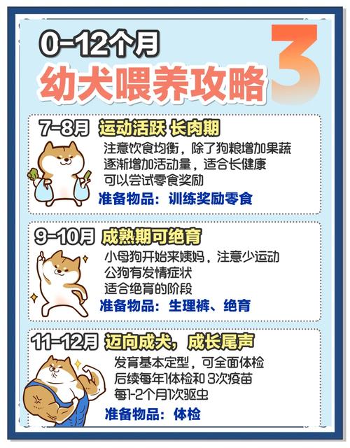 0『1』2个月幼犬喂养攻略|新手建议收藏