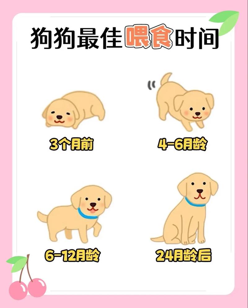 求刚满月小狗喂养方法