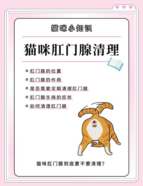 猫咪肛门腺发炎的症状