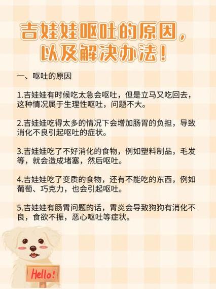 狗狗止吐最有效土方法