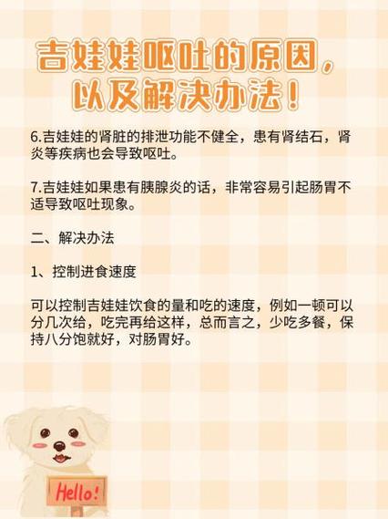 狗狗磨牙棒吃多了吐怎么办?