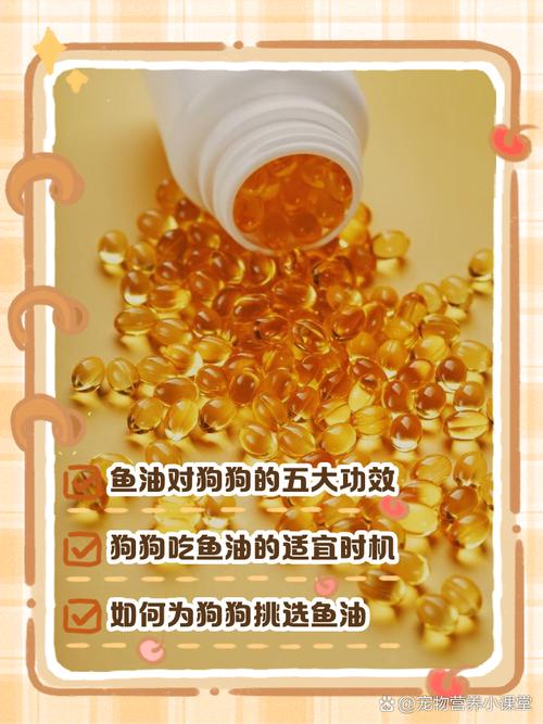 小狗狗为什么不能吃鱼肝油