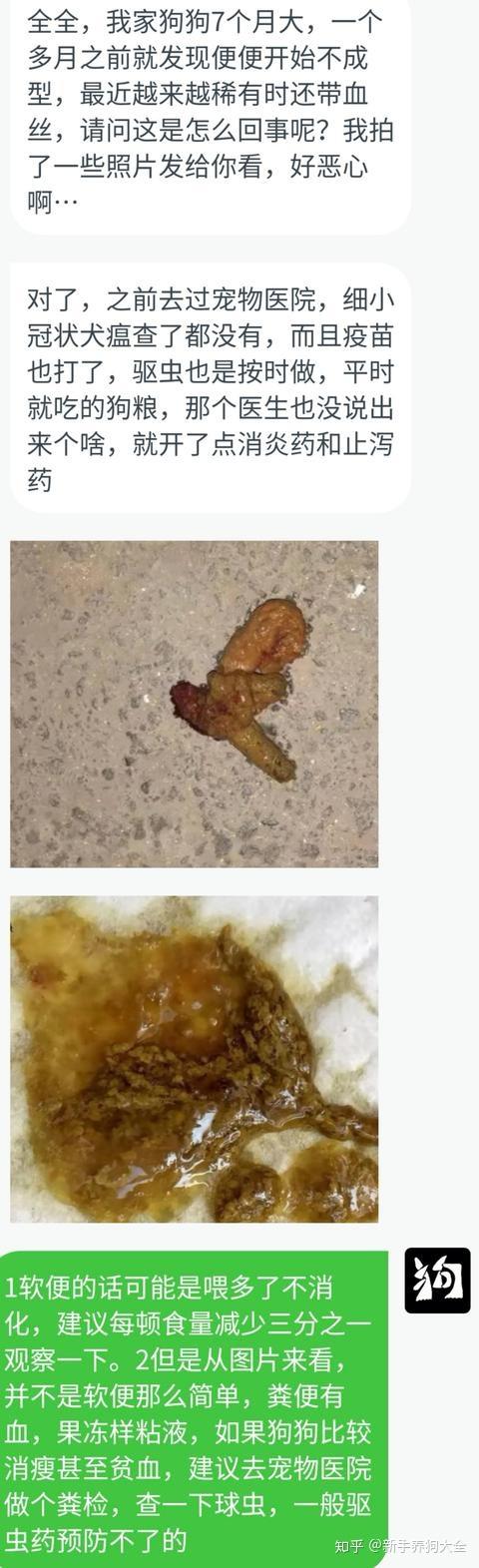 不是细小不是冠状不是肠炎但狗狗就是长期拉稀,请警惕球虫病