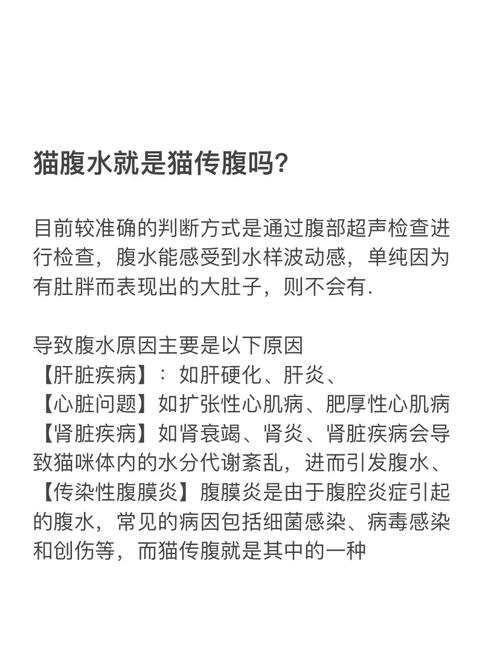怎么判断猫得了腹水