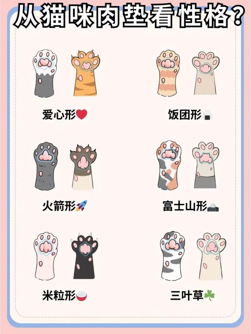 太准了!_从猫咪肉垫看性格