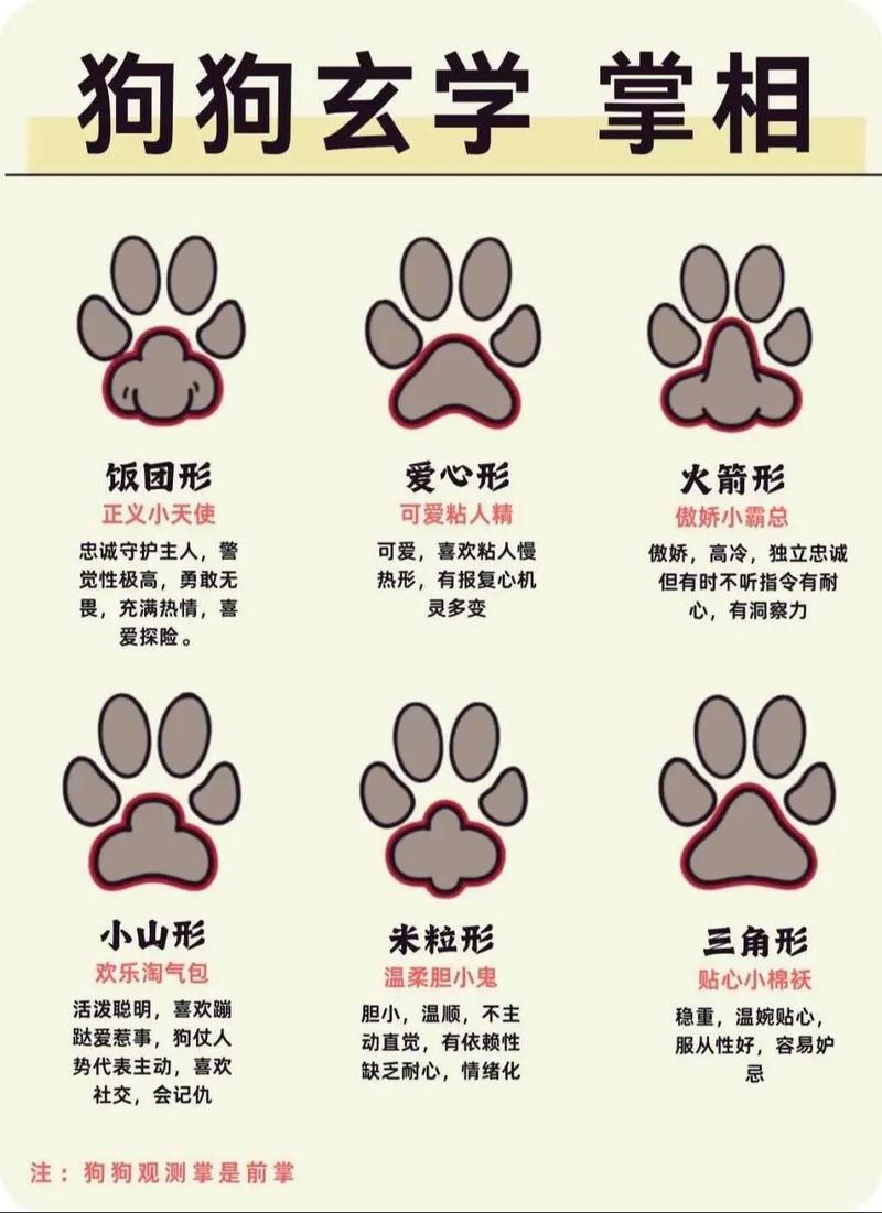 从猫爪看性格,据说准确率99%