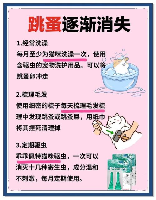 小猫身上的跳蚤怎么去除?